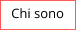 Chi sono