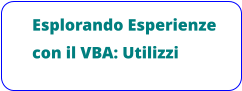 Esplorando Esperienze  con il VBA: Utilizzi